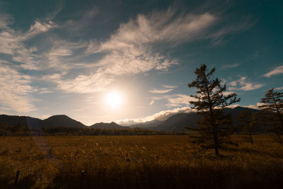 Scenic view of field against sky at sunset