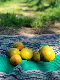 Close-up of fruits in basket