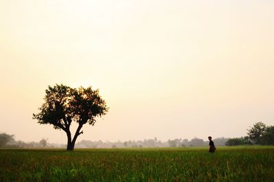 Scenic view of field against clear sky