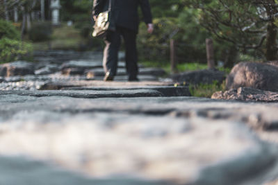 Low section of man walking in forest