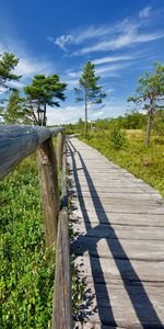 Wooden fence by road against sky