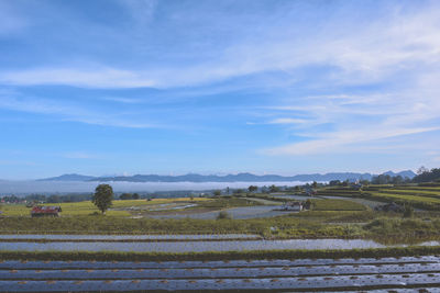 Scenic view of agricultural field against sky