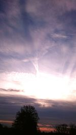 Scenic view of tree against sky at sunset