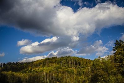 Scenic view of landscape against cloudy sky