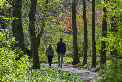 Rear view of people walking in forest