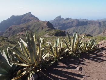 Scenic view of mountains against clear sky