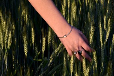 Cropped hand of woman touching plants