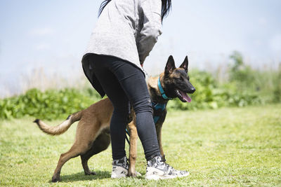 Side view of dog standing on field