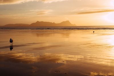 Scenic view of beach against sky during sunset