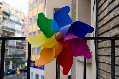 Close-up of colorful pinwheel toy in balcony