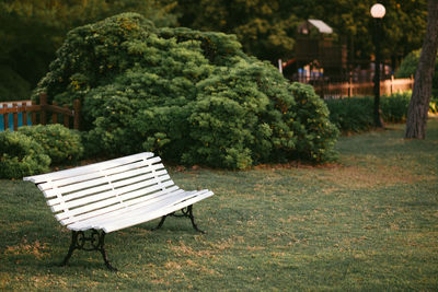 Empty bench in park