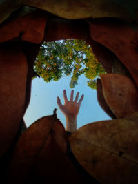 Low section of person on leaves during autumn