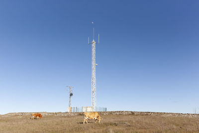 View of wind turbines on field against clear sky