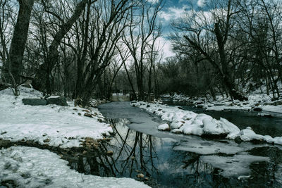 Scenic view of snow covered landscape