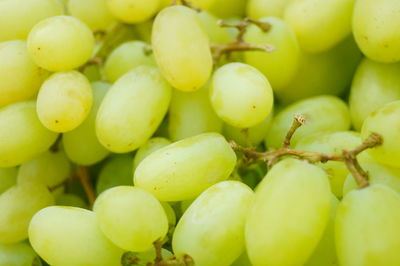 Full frame shot of grapes in market