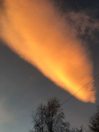 Low angle view of silhouette trees against sky at sunset