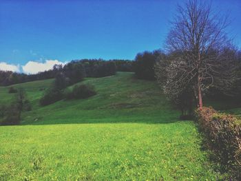 Scenic view of grassy field against cloudy sky