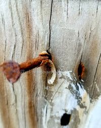 Close-up of water splashing on wood