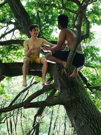 Friends sitting on tree trunk against plants