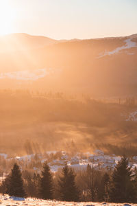 Orange light of the morning sun streams through the spruce trees in a polish village