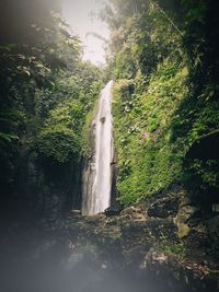 View of waterfall in forest