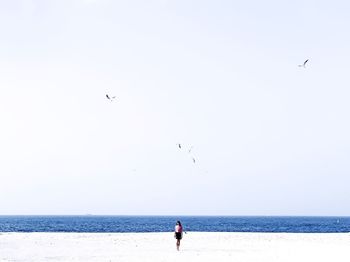 View of birds flying over sea against sky