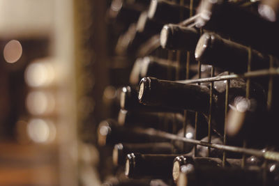 Close-up of old wine bottles in cellar