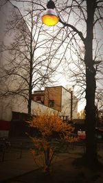 Low angle view of bare trees against sky