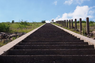 Low angle view of steps amidst plants against sky