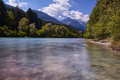 Scenic view of river in forest against sky