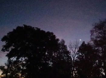 Low angle view of silhouette trees against sky at night