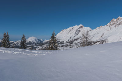 A picturesque landscape view of the french alps mountains and tall pine trees covered in snow