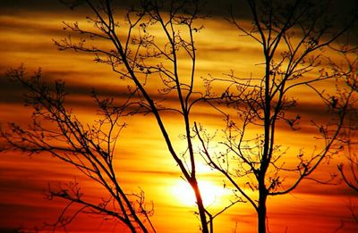 Silhouette bare tree against dramatic sky during sunset