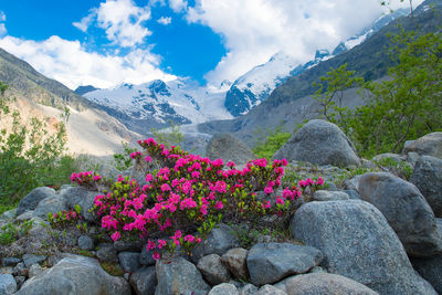 Scenic view of rocks and mountains against sky