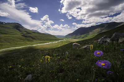 Scenic view of grassy field against cloudy sky