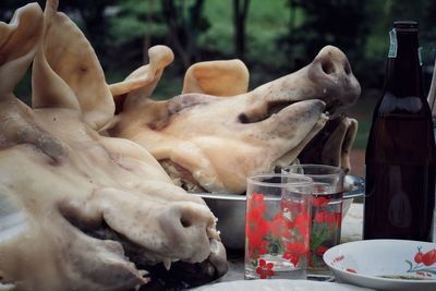 Close-up of sheep on glass table