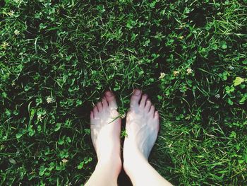 Low section of woman on grassland