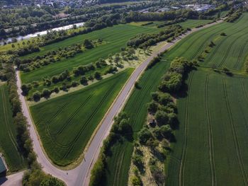 High angle view of agricultural field