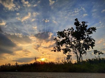 Silhouette trees on field against sky during sunset