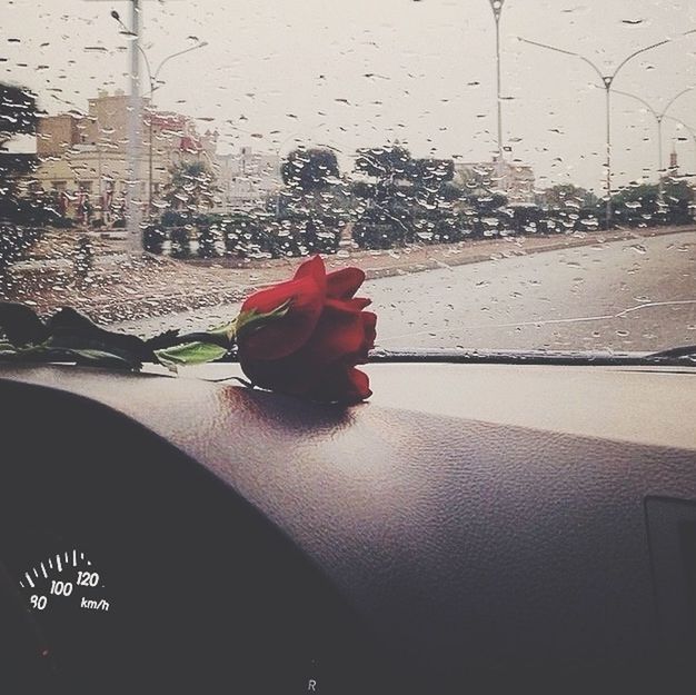 window, transparent, glass - material, drop, wet, indoors, rain, water, season, raindrop, weather, focus on foreground, car, glass, close-up, looking through window, fragility, land vehicle, transportation, monsoon