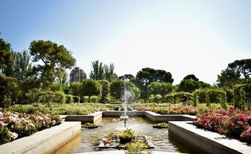 Pond in garden against clear sky