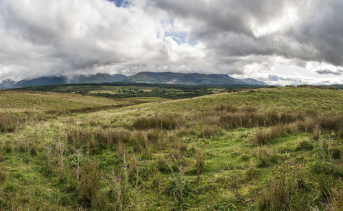 Scenic view of field against sky