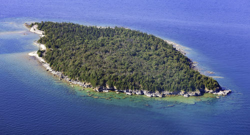 High angle view of sea amidst trees