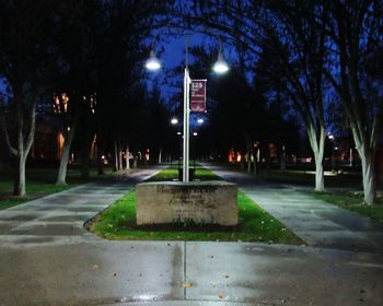 Illuminated trees at night