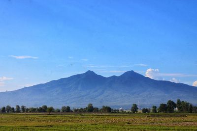 Scenic view of field and mountains against blue sky