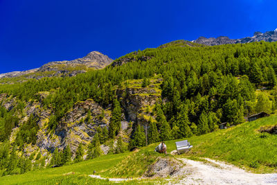 Scenic view of trees and mountains against clear blue sky