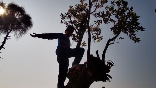 Low angle view of man on tree against clear sky