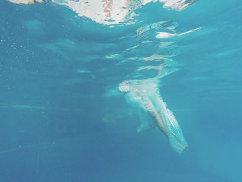 Underwater view of sea