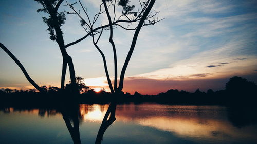 Silhouette tree by lake against sky during sunset