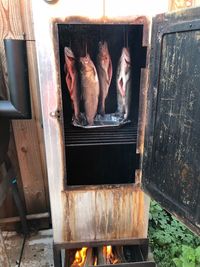 View of an animal in stable